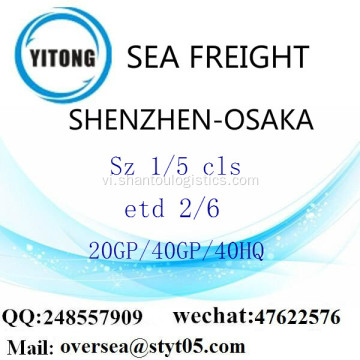 Shenzhen cảng biển vận chuyển hàng hóa vận chuyển đến OSAKA